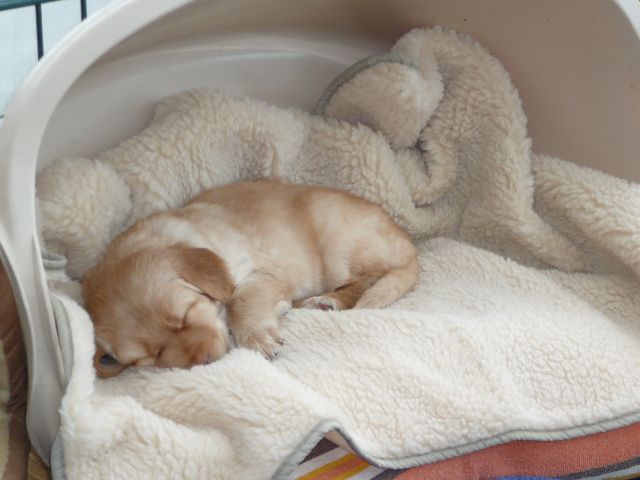 Kuscheldecke